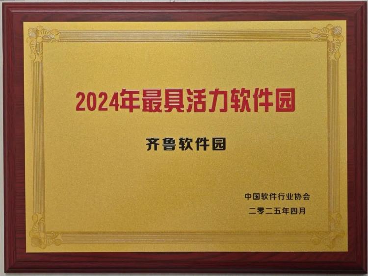 三十而立再获殊荣！齐鲁软件园跻身“2024年度最具活力软件园”_今日头条_大众网(图1)